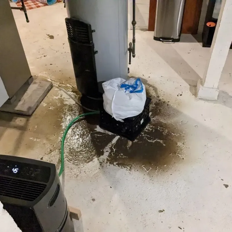 Sewage Backup Cleanup Service in Jasper, TN